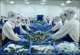 ការនាំចេញត្រីប្រានៅបណ្ដាខេត្តវាលទំនាបទន្លេ Cuu Long បានបង្កើន។